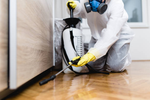 Best Pest Control Near Me  in Lyndon, KS
