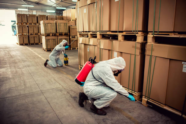 Best Exterminator Services  in Lyndon, KS