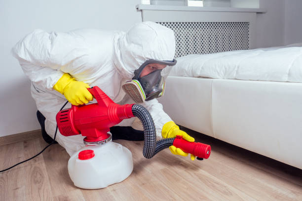 Best Affordable Pest Control Services  in Lyndon, KS