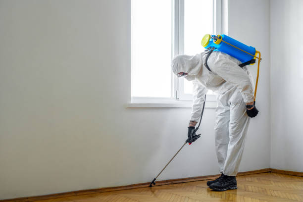 Best Termite Control Services  in Lyndon, KS