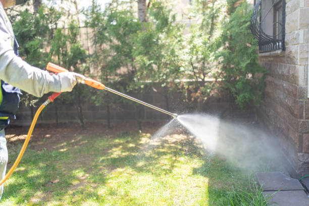 Professional Pest Control in Lyndon, KS