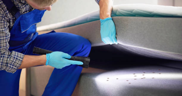 Best Exterminator Services  in Lyndon, KS